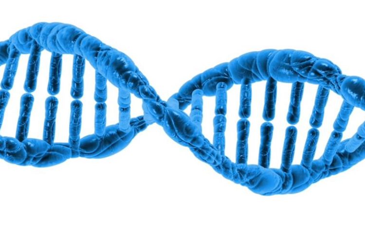 Can Gene Therapy Stop the Progression of Osteoarthritis?